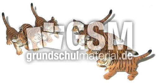 Tiger-3+4.jpg